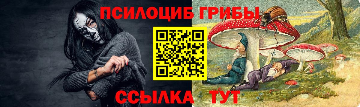 Псилоцибиновые грибы мицелий Нарьян-Мар