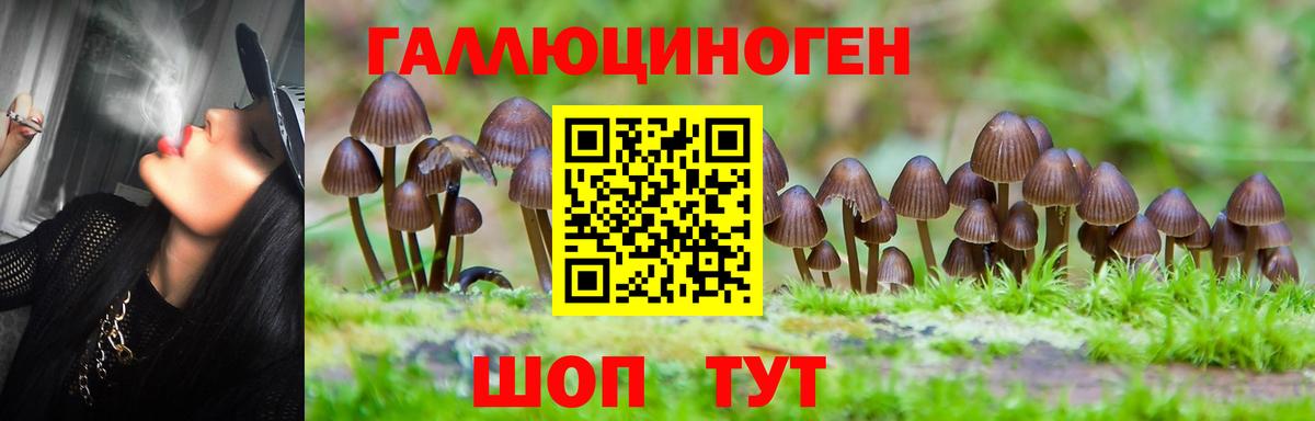 Псилоцибиновые грибы Psilocybe  Галлюциногенные грибы Psilocybe  Нарьян-Мар  Вход с VPN 
